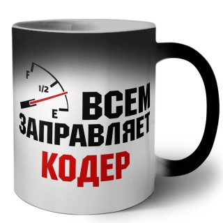 Всем заправляет кодер