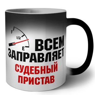 Всем заправляет судебный пристав