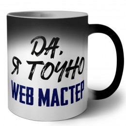 Да, я точно web мастер