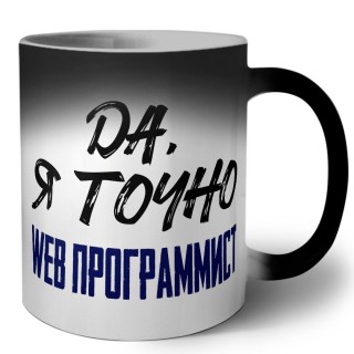 Да, я точно web программист