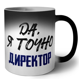 Да, я точно директор