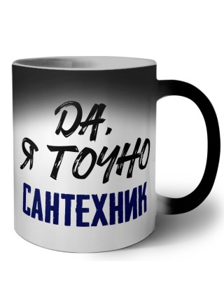 Да, я точно сантехник