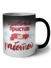 судебный пристав за работой
