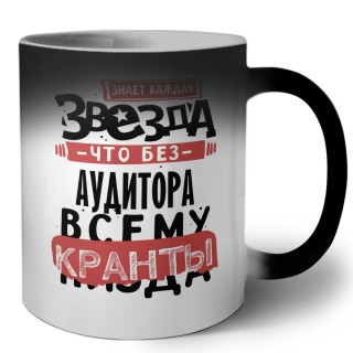 знает каждая звезда, что без аудитора всему кранты