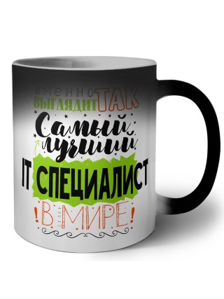 Именно так выглядит самый лучший IT специалист в целом мире