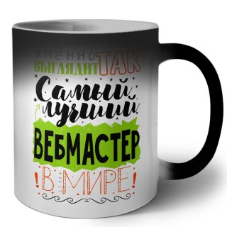 Именно так выглядит самый лучший вебмастер в целом мире