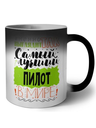 Именно так выглядит самый лучший пилот в целом мире