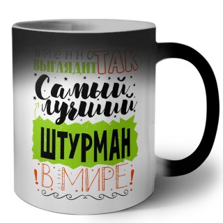 Именно так выглядит самый лучший штурман в целом мире