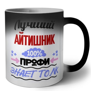 Лучший Айтишник 100 процентов профи - знает толк