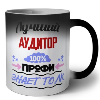 Лучший Аудитор 100 процентов профи - знает толк