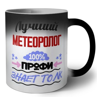 Лучший Метеоролог 100 процентов профи - знает толк