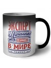эксперт лучший в стране в мире так решили все