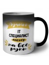 Лучший IT специалист мастер на все руки