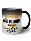 Лучший айтишник мастер на все руки
