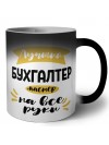 Лучший бухгалтер мастер на все руки
