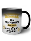 Лучший веб программист мастер на все руки