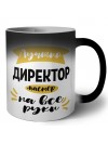 Лучший директор мастер на все руки