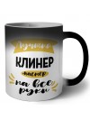 Лучший клинер мастер на все руки