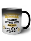 Лучший работник органов загса мастер на все руки