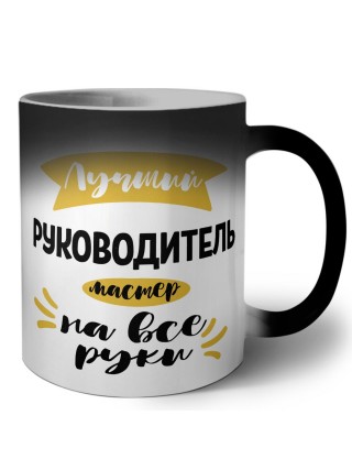 Лучший руководитель мастер на все руки