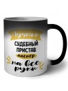 Лучший судебный пристав мастер на все руки