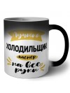 Лучший холодильщик мастер на все руки