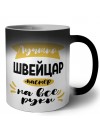 Лучший швейцар мастер на все руки