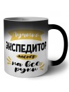 Лучший экспедитор мастер на все руки