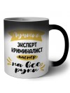 Лучший эксперт криминалист мастер на все руки