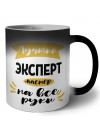 Лучший эксперт мастер на все руки