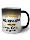 Лучший эндокринолог мастер на все руки