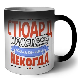 стюард может всё, только ему некогда