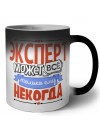 эксперт может всё, только ему некогда