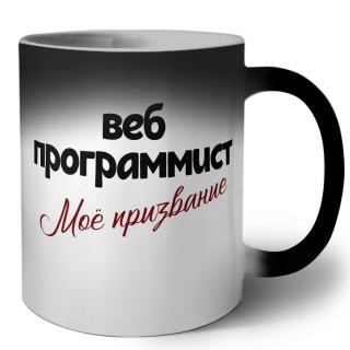 веб программист моё призвание