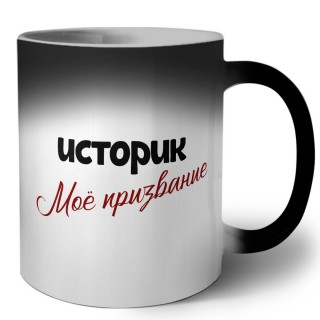 историк моё призвание