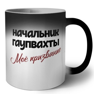 начальник гаупвахты моё призвание