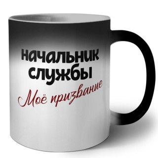 начальник службы моё призвание