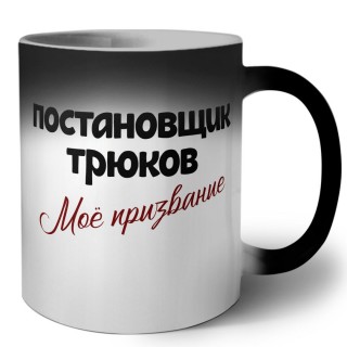 постановщик трюков моё призвание