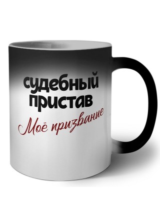 судебный пристав моё призвание
