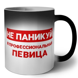 Не паникуй я профессиональная певица