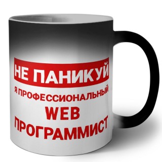 Не паникуй я профессиональный web программист