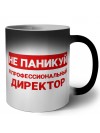 Не паникуй я профессиональный директор
