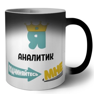 Я аналитик подчиняйтесь мне