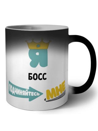 Я босс подчиняйтесь мне