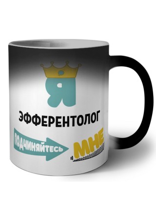 Я эфферентолог подчиняйтесь мне