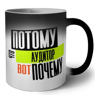 потому что аудитор вот почему