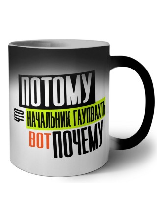 потому что начальник гаупвахты вот почему