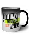 потому что тифлопедагог вот почему
