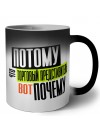 потому что торговый представитель вот почему
