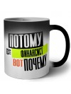 потому что финансист вот почему